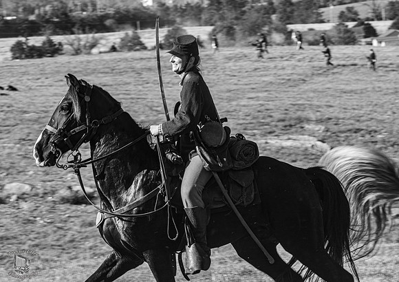 Federal Horseman