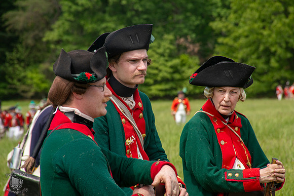 Loyalists