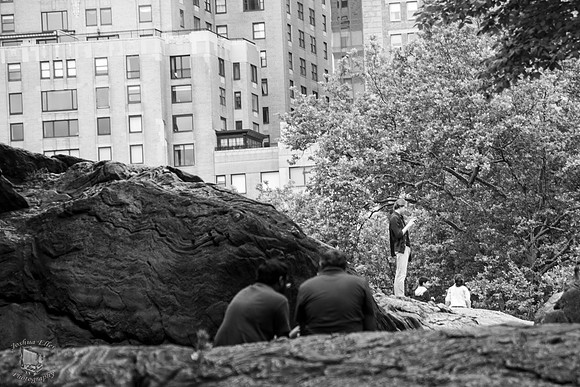 Central Park