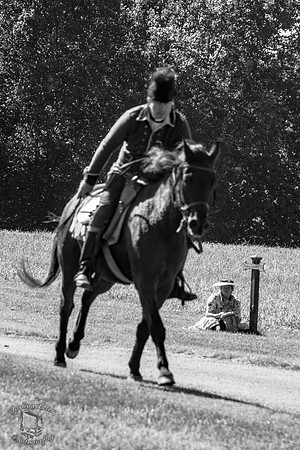 Charge