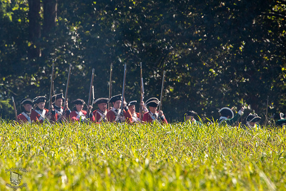 Taking the Field