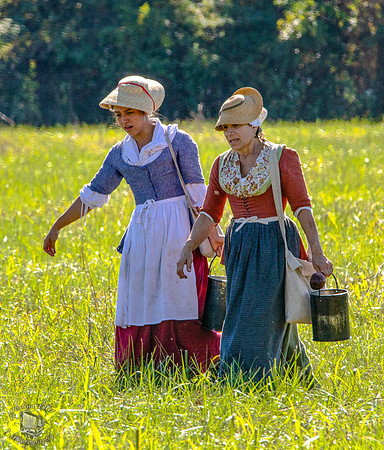 Crossing the Field