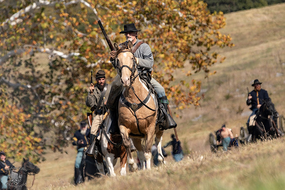 The Cavalry