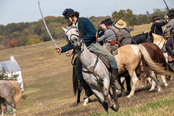 Federal Cavalry