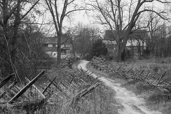 The Peach Orchard