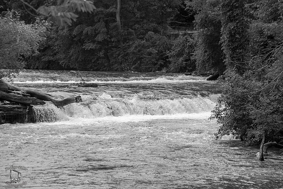 Niagra River