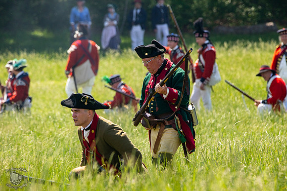 Loyalist in the Field