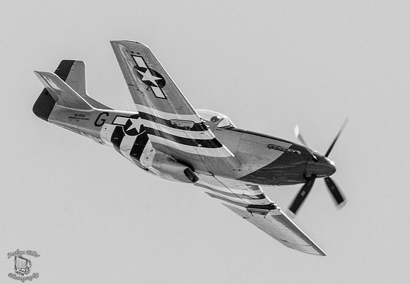 Redtail