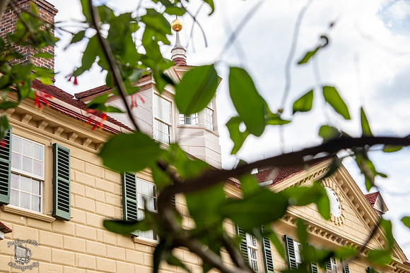 Mount Vernon