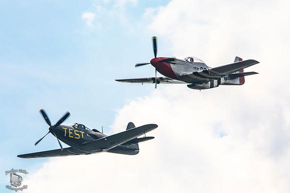 Mustang and Kingcobra