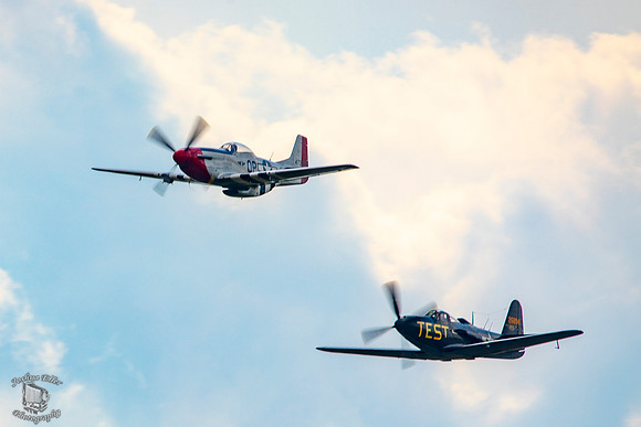 Mustang and Kingcobra