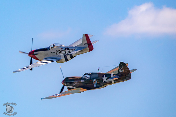 Mustang & Tiger