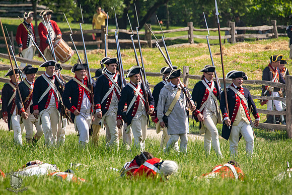 Continental Army