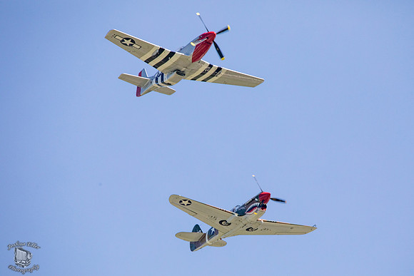 Mustang & Tiger
