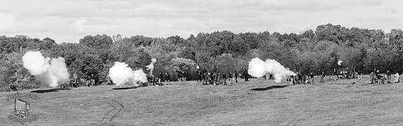 Federal Artillery