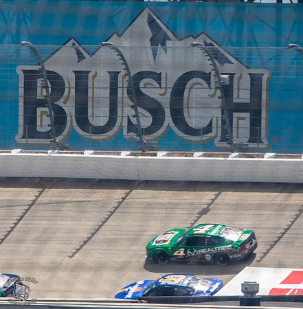 Busch
