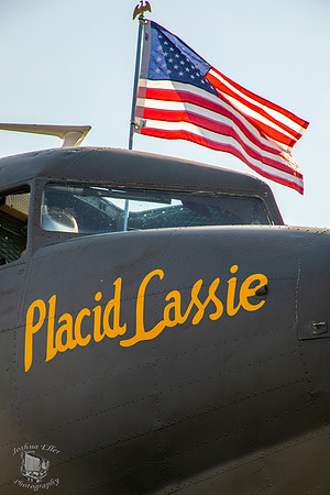Placid Lassie