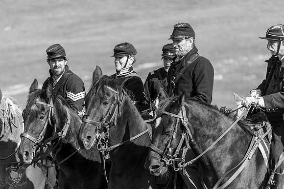 Federal Cavalry