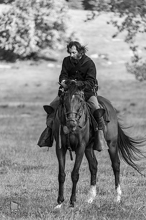 The Rider