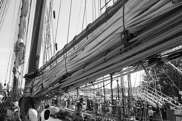 The Sultana