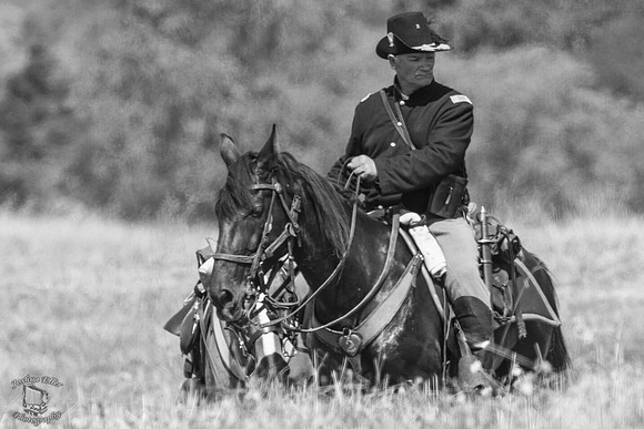 Union Cavalry