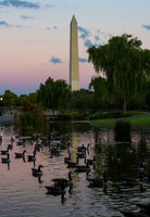 Washington Monument