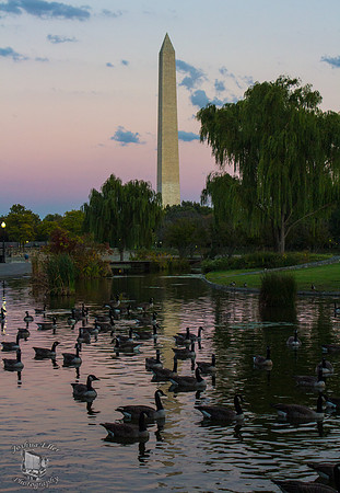 Washington Monument