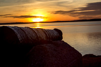 The Cannon