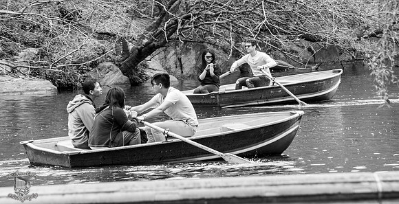 Rowboats