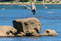On the Rock