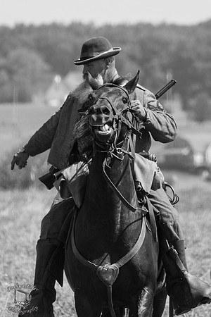 Confederate rider