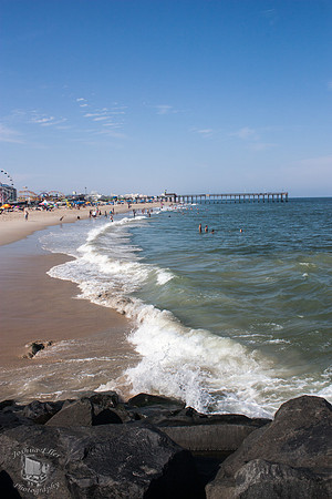 The Shore