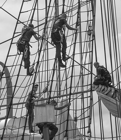 USCGC Eagle Crew