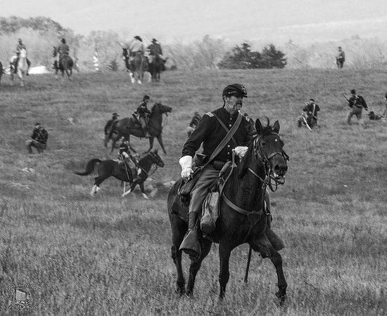 Federal Cavalry