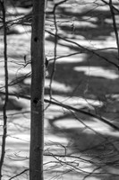 Gunpowder River