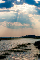 The Marsh
