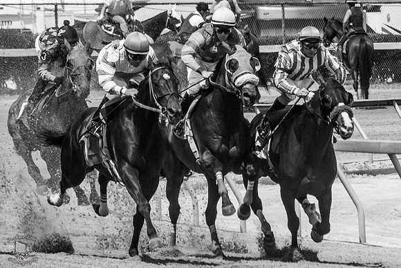 Horse Race