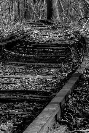 Tracks