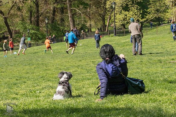In the Park