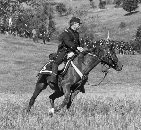 Cavalry