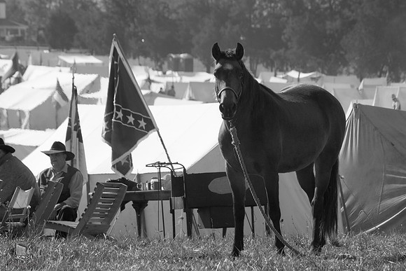 Confederate Camp