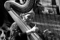 Harp player