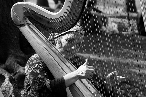 Harp player