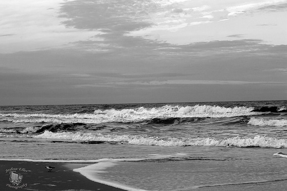 The Ocean