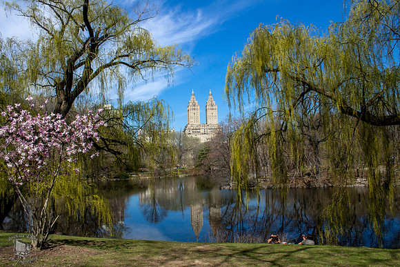 Central Park