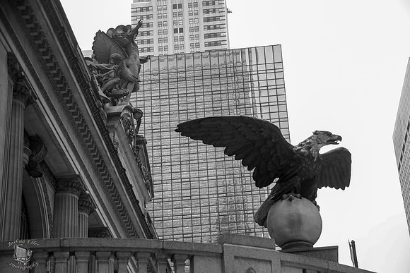 Grand Central