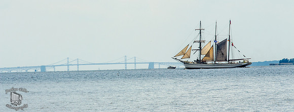Chesapeake Bay