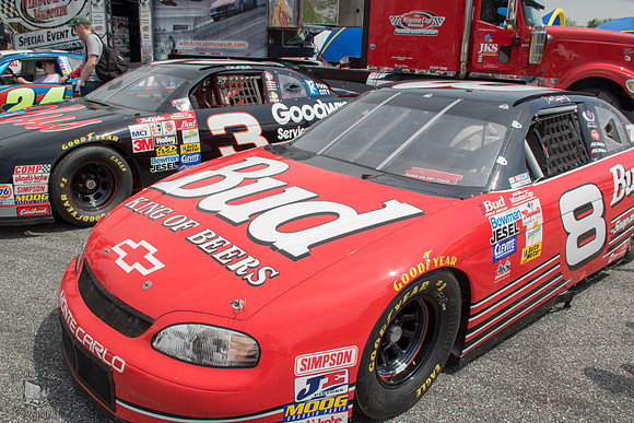 Earnhardts