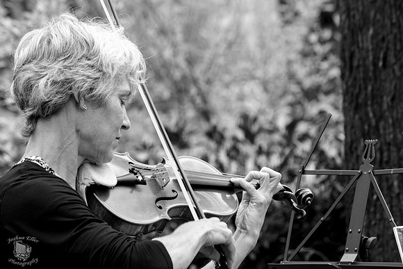 violin