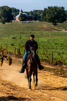 Lone Rider